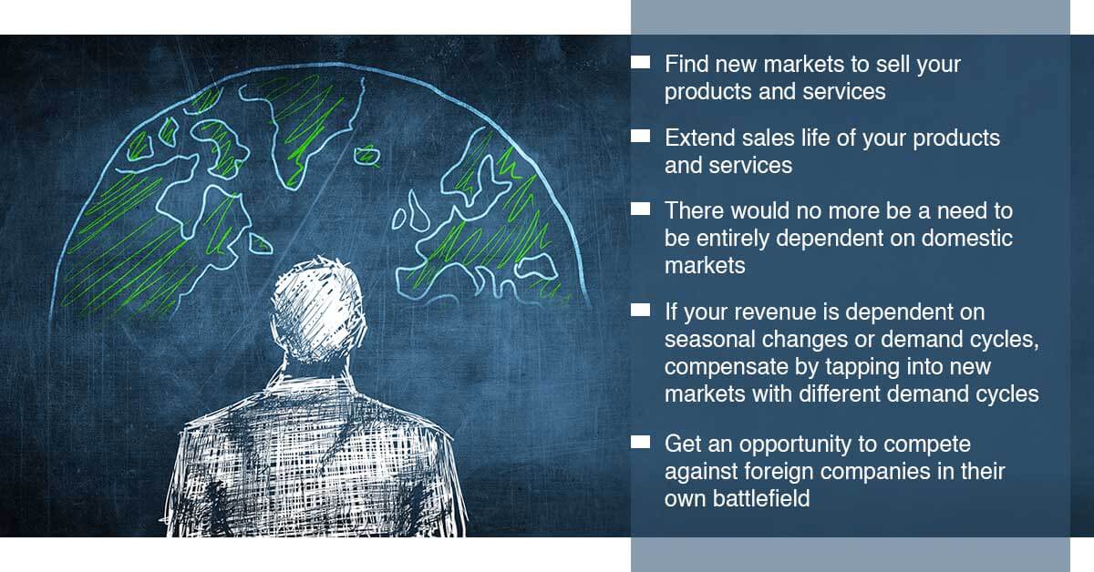 How to Use a Global Business Database to Conquer New Markets?