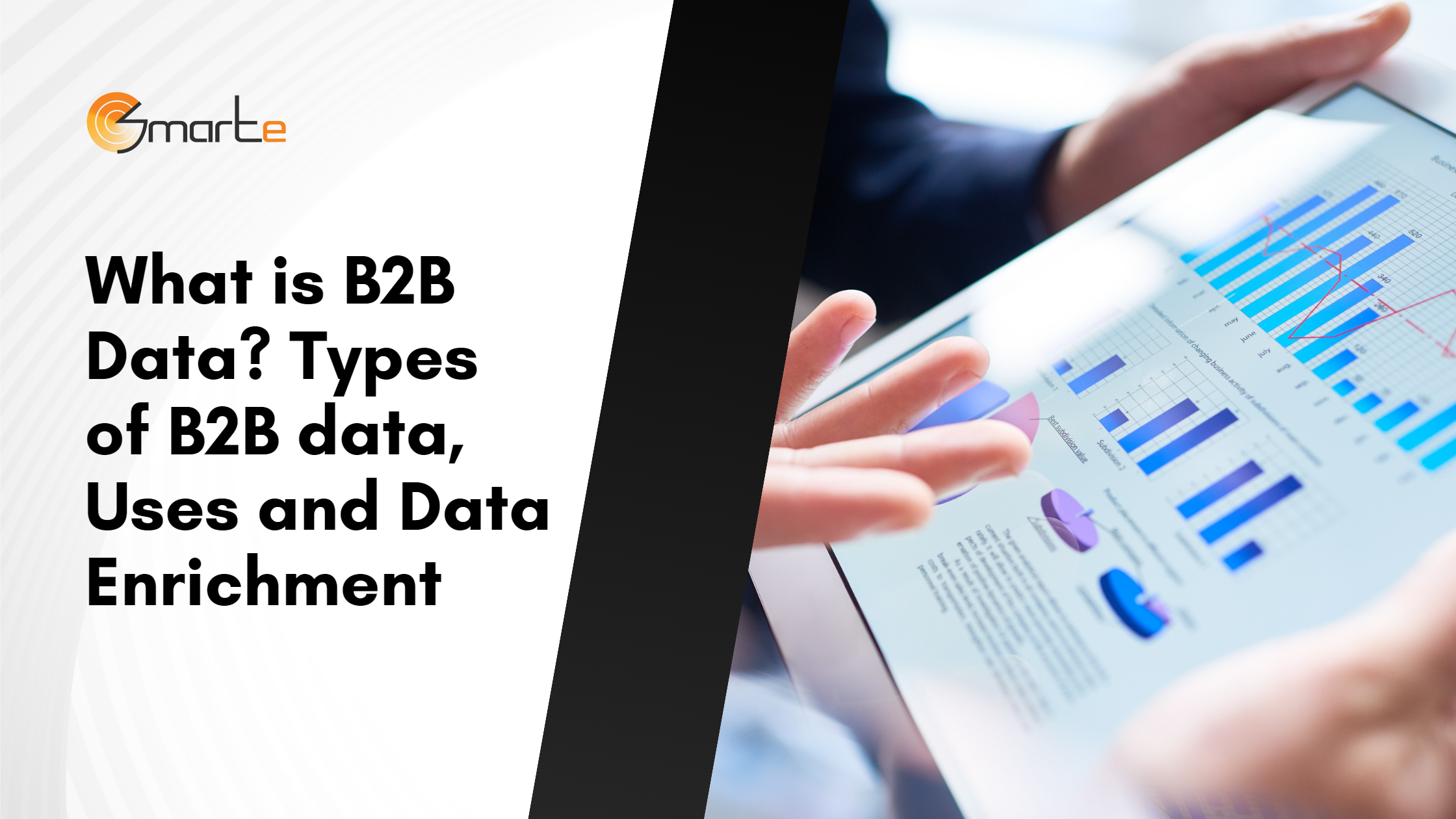What is B2B Data? Types of B2B data, Uses and Data Enrichment