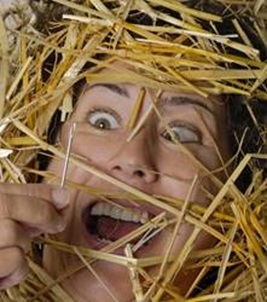 How funny sales follow-up emails can seal the deal